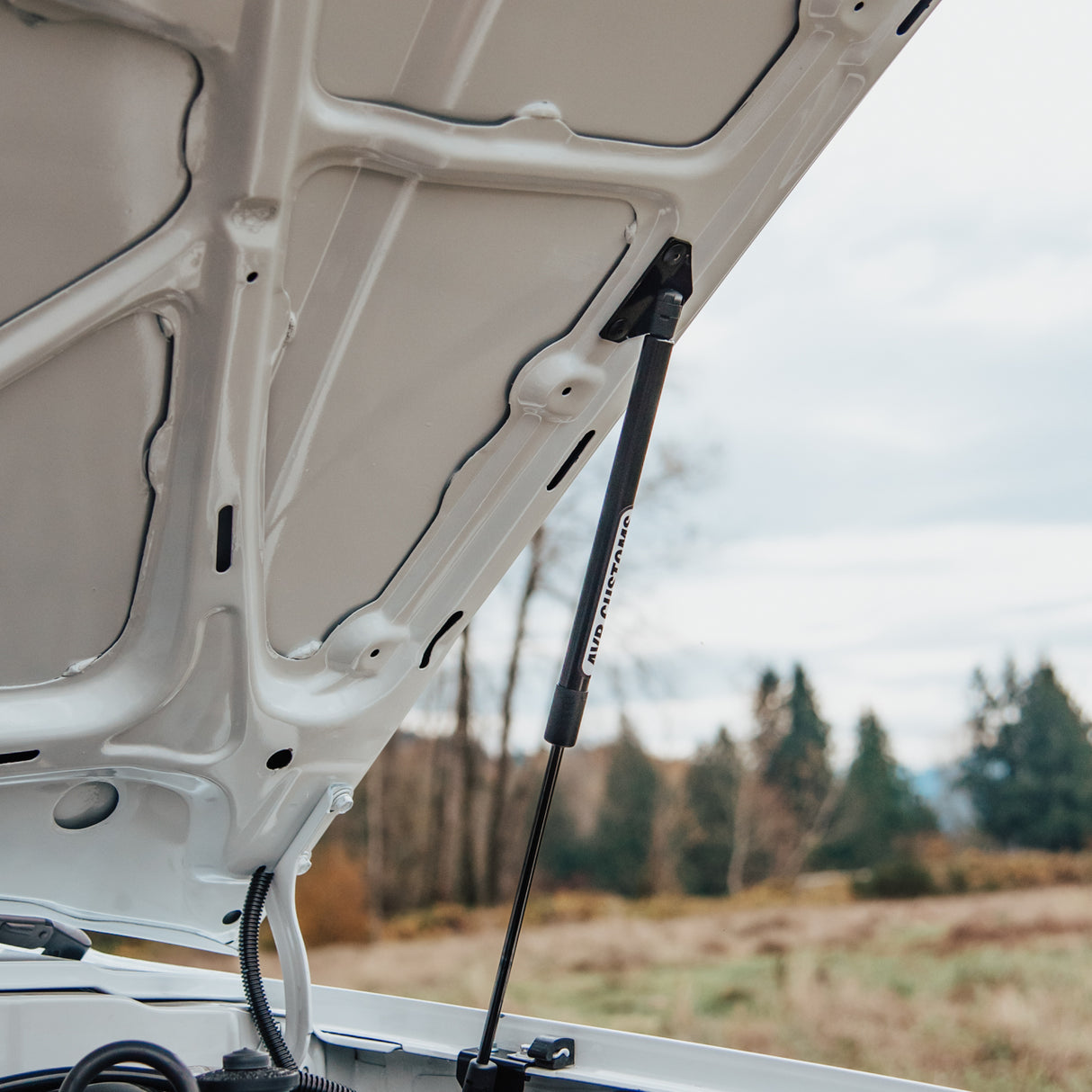 1984-1988 Toyota Pickup/ 4Runner EZ Lift Hood Struts