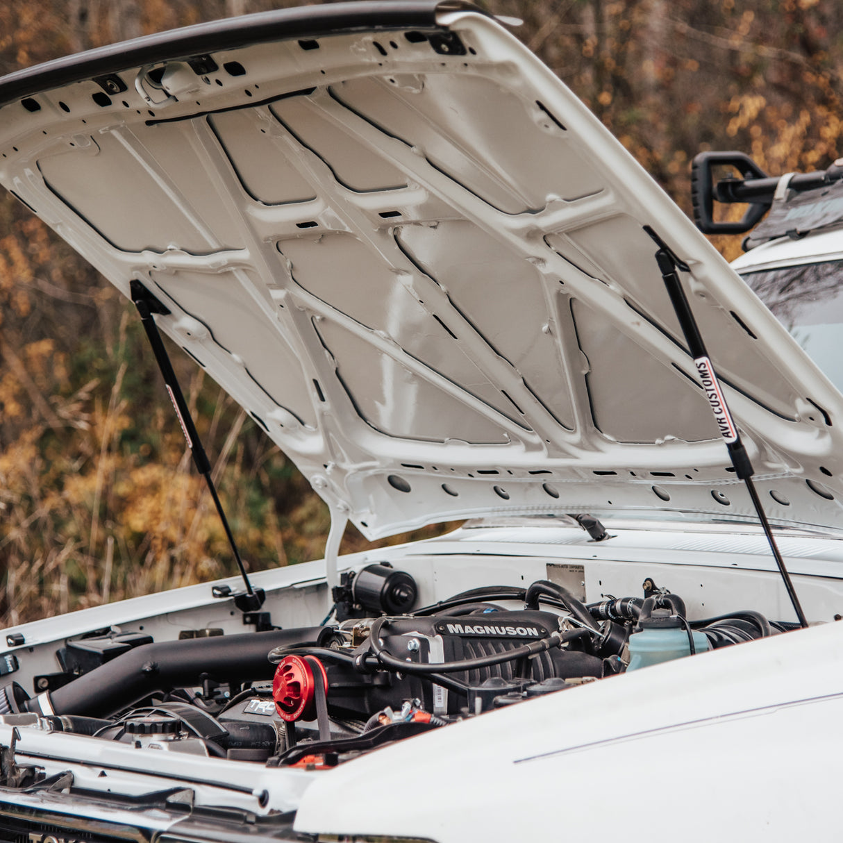 1984-1988 Toyota Pickup/ 4Runner EZ Lift Hood Struts