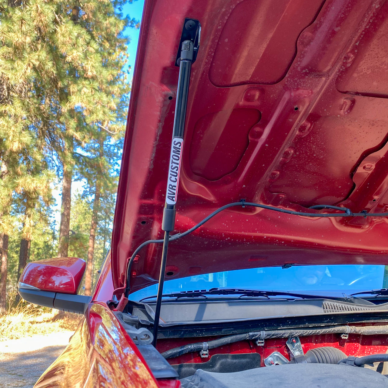 2016-2023 Toyota Tacoma EZ Lift Hood Struts